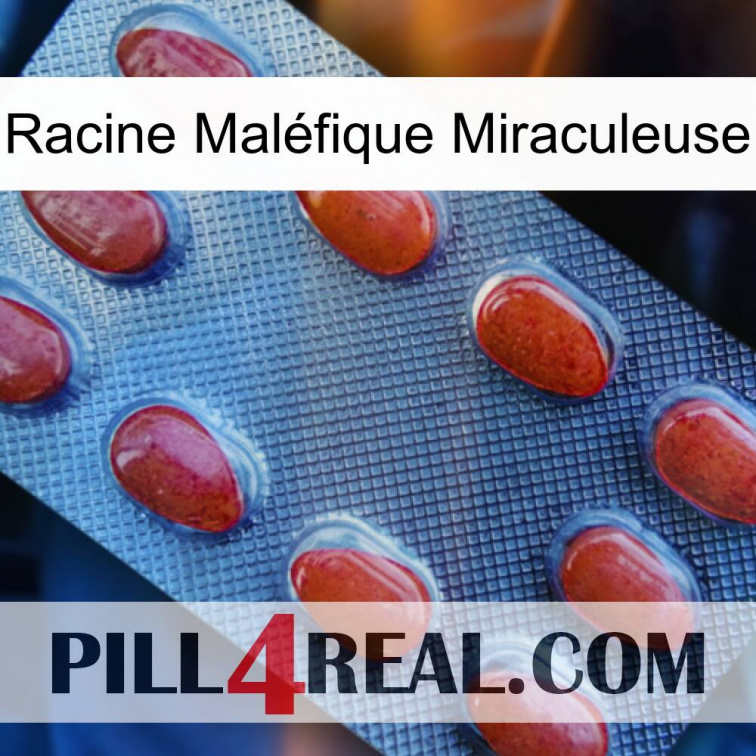 Racine Maléfique Miraculeuse 06